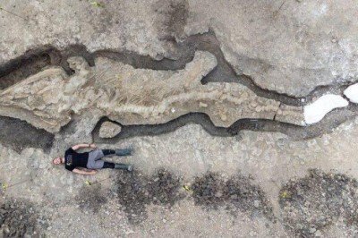 İngiltere'de dev 'deniz ejderhası' fosili bulundu