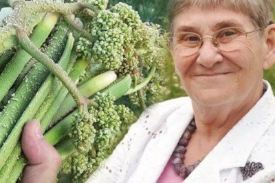 Lösemi tedavisinde çok etkili, afrodizyak etkiye sahip! Canan Karatay ısrarla tüketin diyor