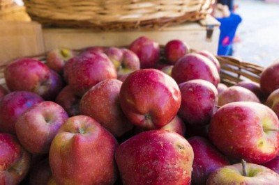 Pazardaki elmaların yüzde 13’ünde var! Ölümcül tehlike dünyayı tehdit ediyor