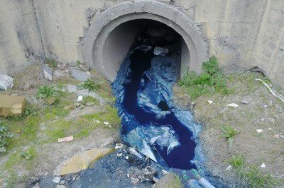 Zehir deresi! Rengi mavi ve yeşil akıyor... 'Kedimi aramaya geldim, birinin leşini buldum'