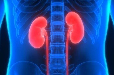 Böbrek hastalığı olanlarda kanser görülme riski daha yüksek