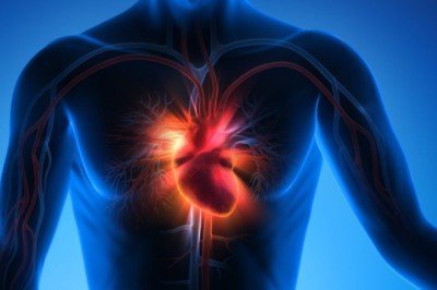 Günde 9 bin litre kanı vücuda pompalıyor... Bu 12 risk faktörüne dikkat!