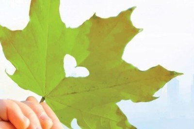 En başarılı sosyal sorumluluk projeleri: Capital 17.kez en başarılı projeleri seçti