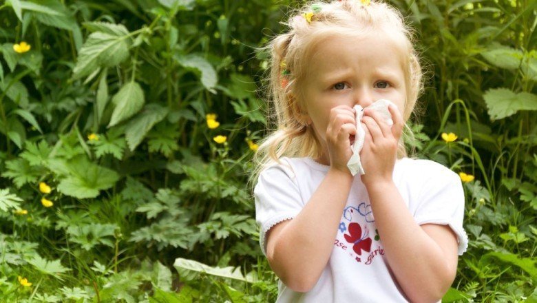 Polen alerjisi nasıl geçer, belirtileri nelerdir? İşte, polen alerjisi tedavisi var mı?