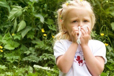 Polen alerjisi nasıl geçer, belirtileri nelerdir? İşte, polen alerjisi tedavisi var mı?