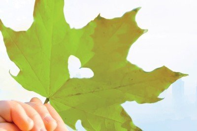 Şirketlere duyarlılık mesajı