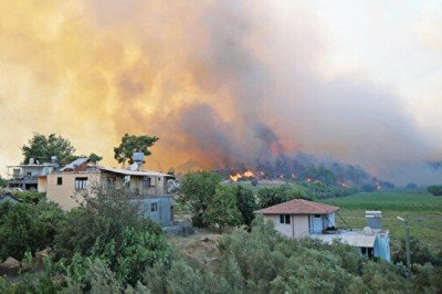 Orman kaybının %65’i 2021 yangınlarından