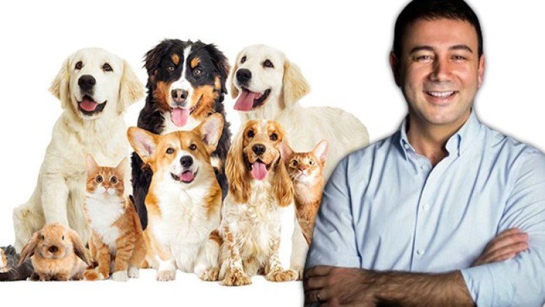 Genç Başkandan alkışlanacak hareket! Petshop'larda hayvan satışını yasakladı