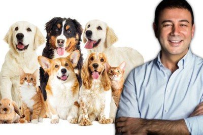 Genç Başkandan alkışlanacak hareket! Petshop'larda hayvan satışını yasakladı