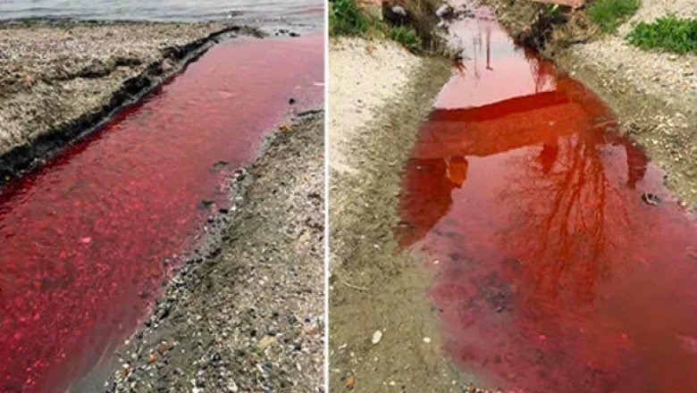 Korkutan görüntü: Dere kırmızıya büründü... Halk tedirgin!