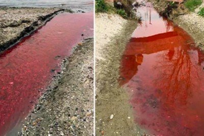 Korkutan görüntü: Dere kırmızıya büründü... Halk tedirgin!