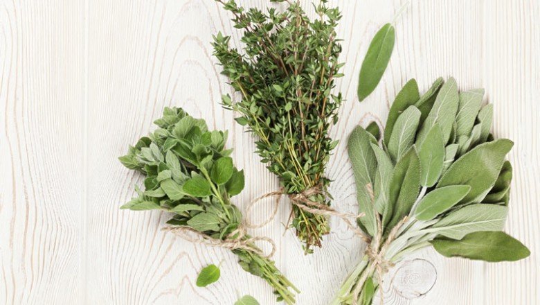 Hamam otu nedir? Hamam otunun faydaları nelerdir? Hamam otu ne işe yarar, ne için ve nasıl kullanılır? Hamam otu kullanmak zararlı mıdır?