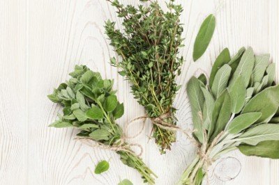 Hamam otu nedir? Hamam otunun faydaları nelerdir? Hamam otu ne işe yarar, ne için ve nasıl kullanılır? Hamam otu kullanmak zararlı mıdır?