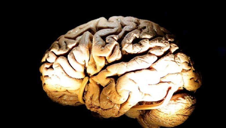 Beyinde yeni bir iletişim yöntemi keşfedildi