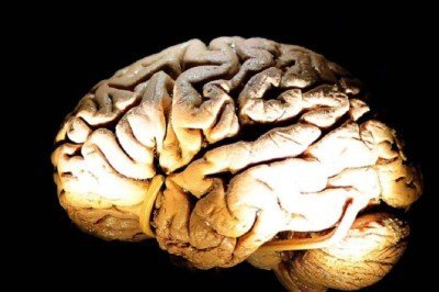 Beyinde yeni bir iletişim yöntemi keşfedildi