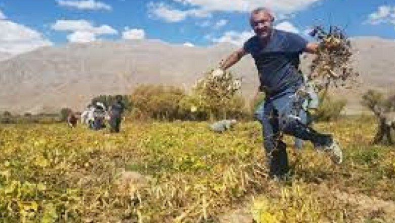 Komünist Başkan ilk Yerli Tohumu toprakla buluşturdu