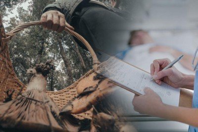 Mantar sezonuna dikkat