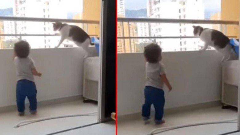 Yürümeye başlayan bebek balkondan sarkmaya çalıştı, kedinin hareketi boğazları düğümledi