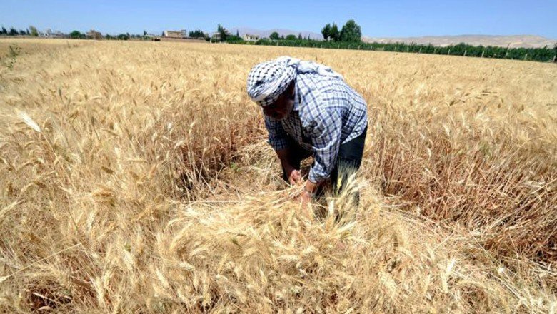 İngiliz Financial Times'tan Türkiye tarımı analizi: 500 bin çiftçi zorluk içinde