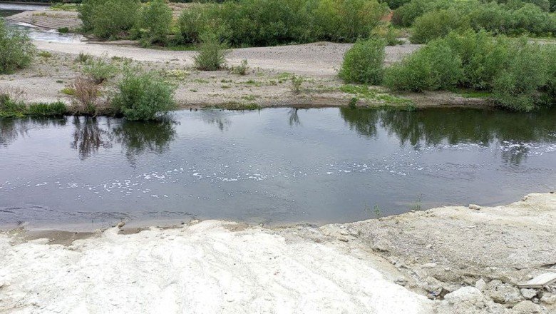 Marmara Denizi'ne zehir akıyor kanser hastalarının sayısı artıyor