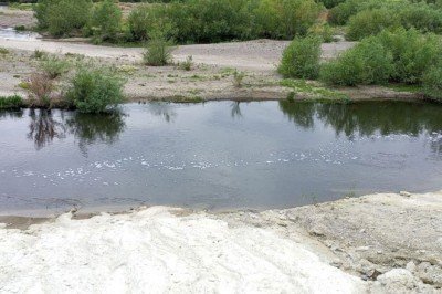 Marmara Denizi'ne zehir akıyor kanser hastalarının sayısı artıyor