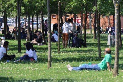 Dikkat! Uygun şekilde çıkarılmazsa ölümcül olabilir