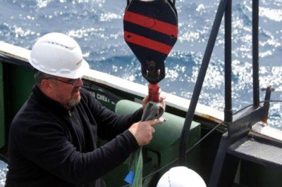 Tüm faylar görüntülendi