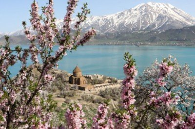 Akdamar Adası badem ağaçlarının çiçekleriyle renklendi