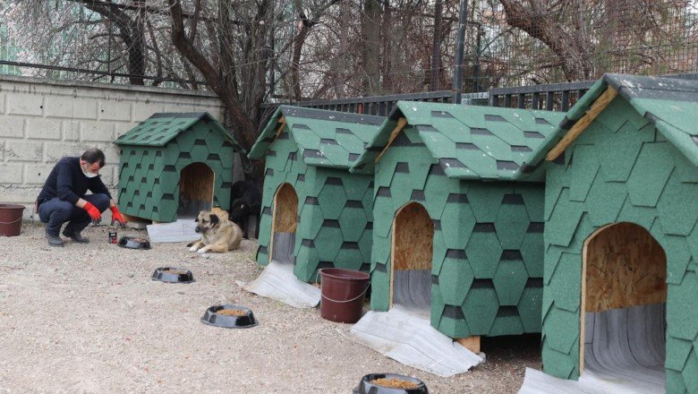 Devlet Arşivleri Başkanlığı bahçesini sahipsiz hayvanlara ayırdı