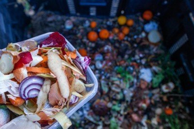 Dünyada her yıl 1,3 milyar ton gıda çöp oluyor