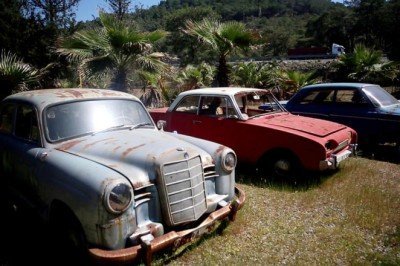 Hurdalıktan çıkıp asfaltta fors atıyorlar