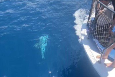 Yunus tur teknesine eşlik etti