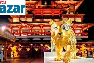 Korkusuzluk ve büyüme yılı