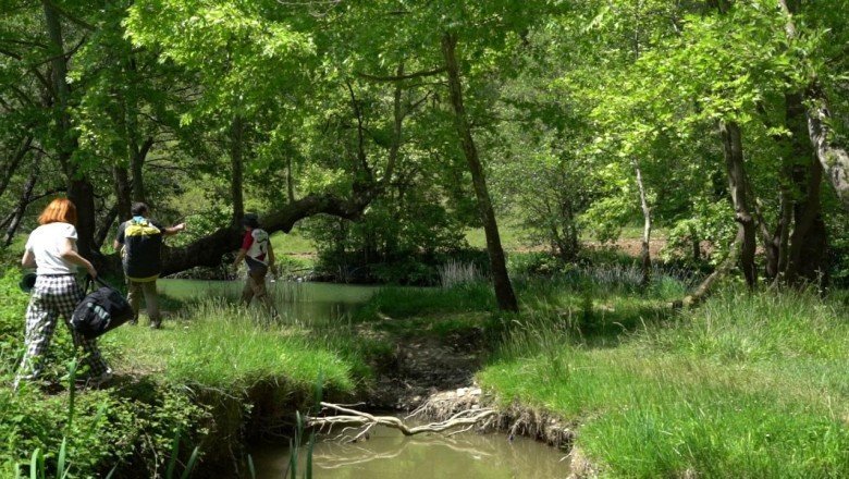 Kamp keyfi zehir olmasın