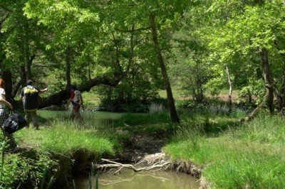 Kamp keyfi zehir olmasın