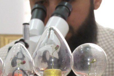 Gözle görülemeyen özel eserler: Gubari Hat sanatı