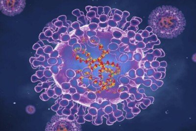 Dünyanın yeni korkusu: Maymun çiçeği virüsü