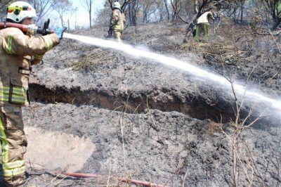 İstanbul orman yangınlarıyla mücadeleye hazır