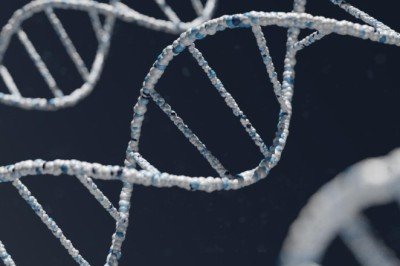 ABD'li profesörler uyardı: 