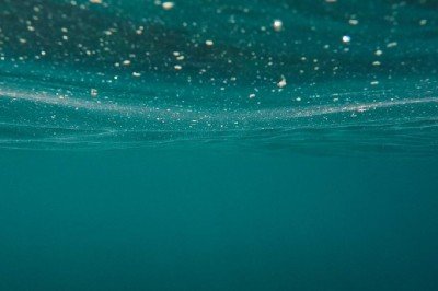 Derin okyanus umduğumuzdan çok daha az karbon depoluyor olabilir