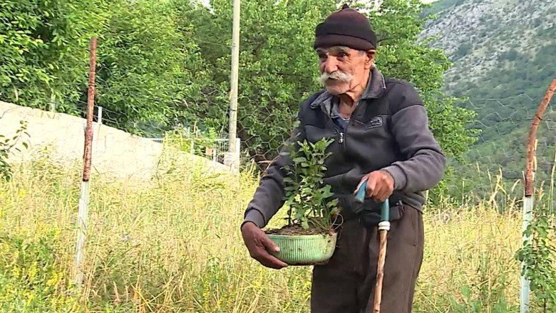 Gönül gözüyle 5 bini aşkın fidan üretti