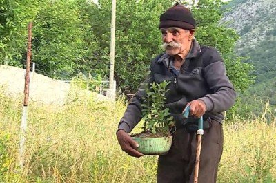 Gönül gözüyle 5 bini aşkın fidan üretti