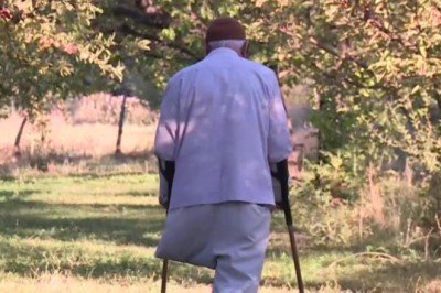 Bir bacağını kaybetti, ağaçlarıyla hayata tutundu