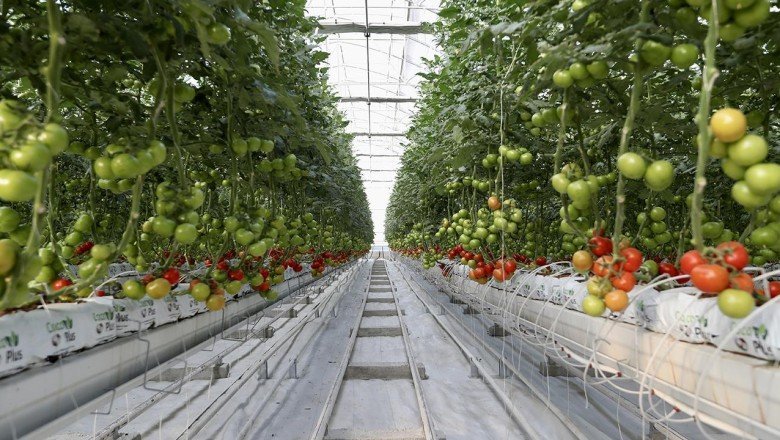 Türkiyenin gücü: Jeotermal enerji