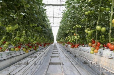 Türkiyenin gücü: Jeotermal enerji