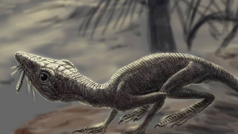 Araştırma: 240 milyon yıl önce İskoçya'da yaşadığı belirlenen tür, soyu tükenmiş uçan sürüngenlerden olabilir