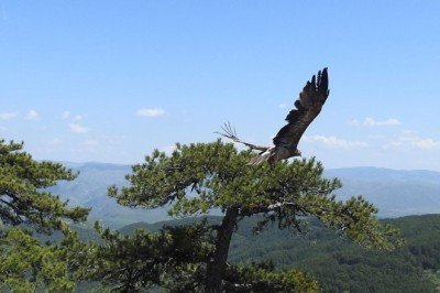 Kaşif Şahgaga, 5 ay sonra Türkiye'ye geri döndü