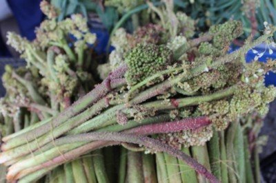 Bu otun faydaları saymakla bitmiyor!