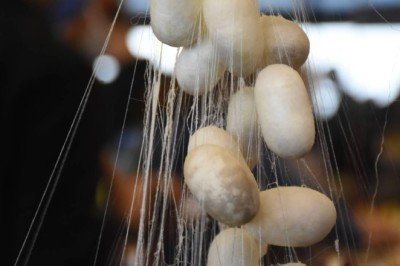 İpek Böcekçiliği UNESCO Somut Olmayan Kültürel Miras Listesi'nde