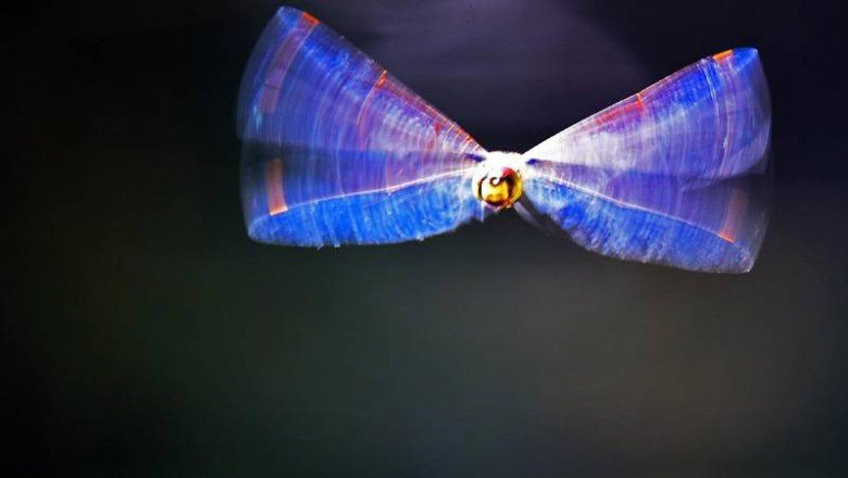 Araştırma: Küçük ve hızlı hayvanlar, büyük ve yavaş hayvanlara göre zamanı daha hızlı algılıyor